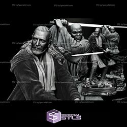 Mace Windu and Qui-Gon Jinn Diorama