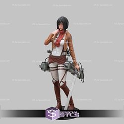 Mikasa Stand Alone