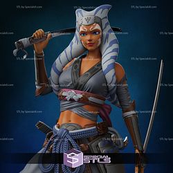 Ahsoka Tano Samurai