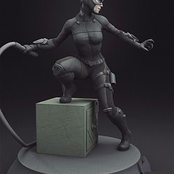 Catwoman V8 from DC