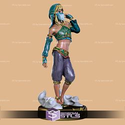 Link Gerudo Outfit