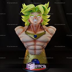 Broly Bust