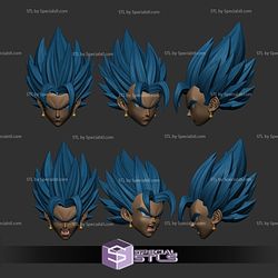 Vegetto