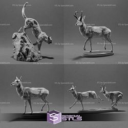 October 2022 Animal Den Miniatures