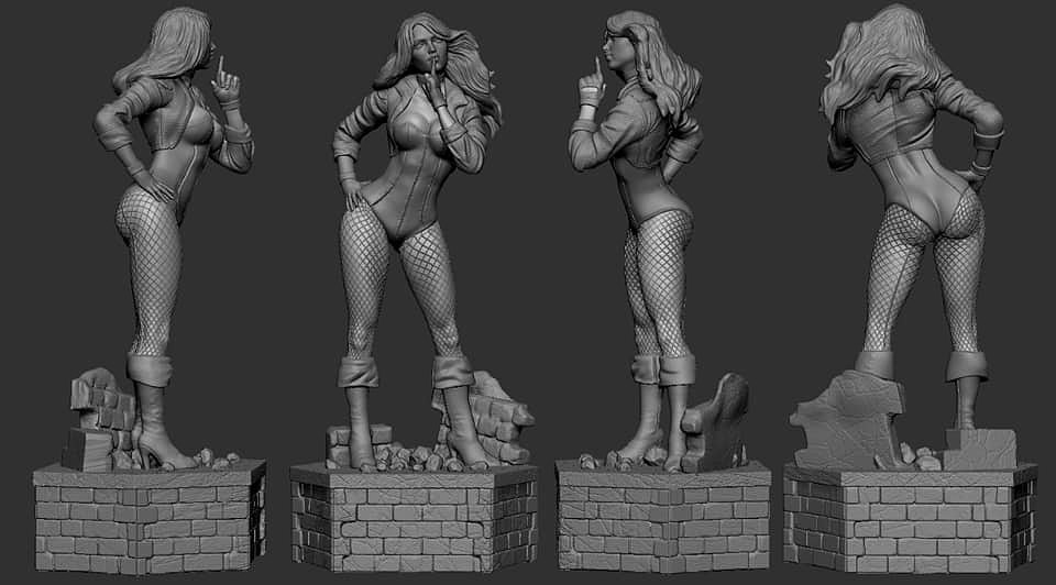 Black Canary V2 From DC