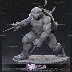 Raphael Classic TMNT