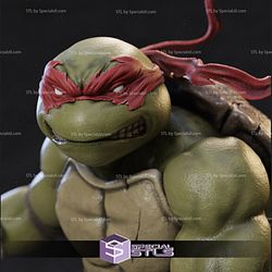 Raphael Classic TMNT