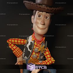 Woody And Forky