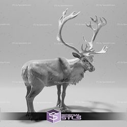 December 2022 Animal Den Miniatures