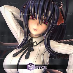 Akeno Himejima 3D Model High School DxD