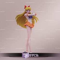 Sailor Moon 3D Model Collection