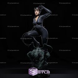 Catwoman 3D Model on Demon Base