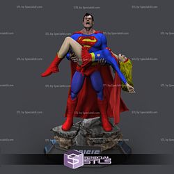 Superman Crisis 3D Model