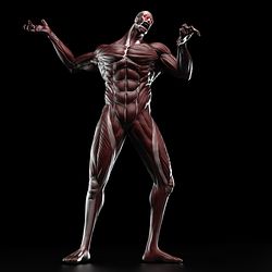 Colossal Titan from Attack on Titan