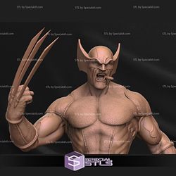 Brown Wolverine 3D Model Standing Pose