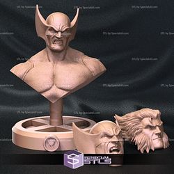 Brown Wolverine 3D Model Standing Pose