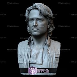 Bust Portrait STL Collection - Diego Luna as Cassian Andor 3D Model