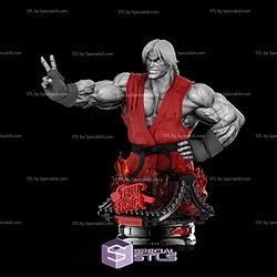 Ken Bust 3D Model Street Fighter