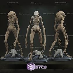 Alien Newborn 3D Printable from Alien STL Files