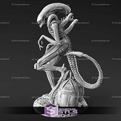 Alien Xenomorph STL Files Standing V2 From Aline 3D Model