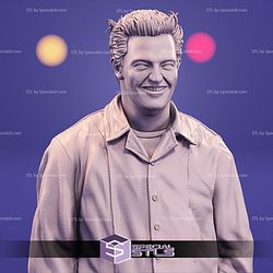 Chandler Bing STL Files from The Friend TV Show 3D Model