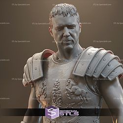 Gladiator Maximus STL Files from The Movie