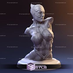 Catwoman Bust STL Files