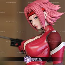 Kallen Stadtfeld 3D Model from Code Geas Lelouch of the Rebellion Anime