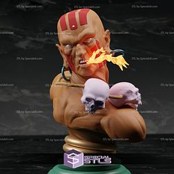Street Fighter Bust STL Files Collection V2