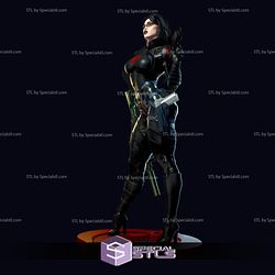 Baroness with NSFW 3D print model