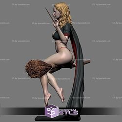 Hermione Adult STL Files on the Broomstick
