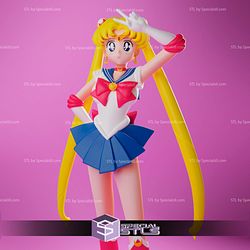 Serena Tsukino Sailor Moon 3D Printable STL Files