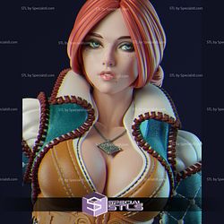 Triss Merigold STL Files Standing from The Witcher 3D Printable