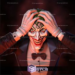 Joker The Killing Joke V2 from DC
