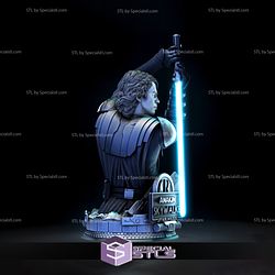 Anakin Skywalker 3D Printing Figurine Bust Star Wars STL Files