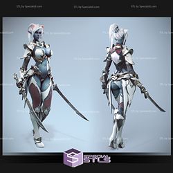 Blade Dancer Dark Elf STL Files from Lineage 2 3D Model