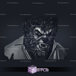 The Wolf Man Bust from Classic Monsters 3D Model