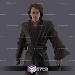 Anakin Skywalker from Starwars