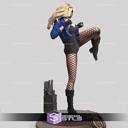 Black Canary Action Pose from DC