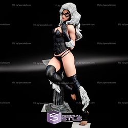 Black Cat Sexy from DC