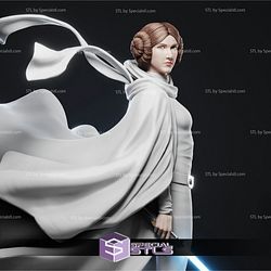Princess Leia STL Files with Weapon V2 3D Printable from Star Wars 3D Model