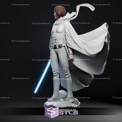 Princess Leia STL Files with Weapon V2 3D Printable from Star Wars 3D Model