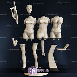 Seven of Nine Sexy Version STL Files Star Trek Voyager 3D Printing Figurine