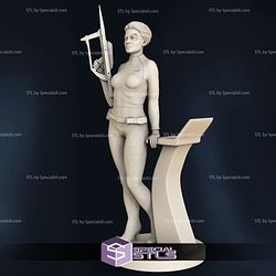 Seven of Nine STL Files Star Trek Voyager 3D Printing Figurine