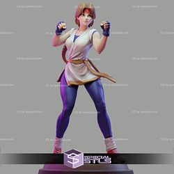 Yuri Sakazaki STL Files The King of Fighters 3D Printing Figurine