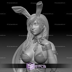 Tifa Lockhart Bunny from Final Fantasy VII