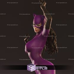 Catwoman Standing 3D Printing Figurine DC STL Files