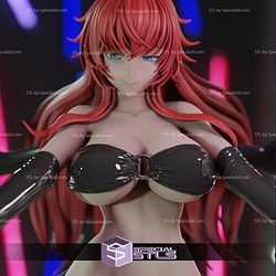 Rias Gremory Bikini 3D Printing Model Highschool DxD STL Files