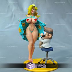 Rosaline and Dr Mario 3D Printing Figurine STL Files