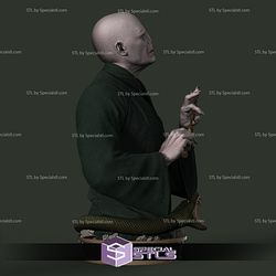 Voldemort Bust 3D Printing Model Harry Potter STL Files